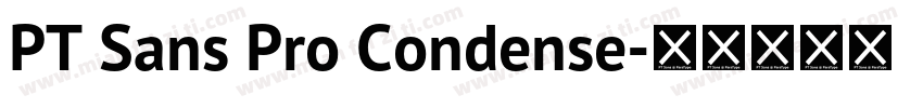 PT Sans Pro Condense字体转换
